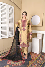 Elegant Embroidered 3-Piece Suit – Black & Beige